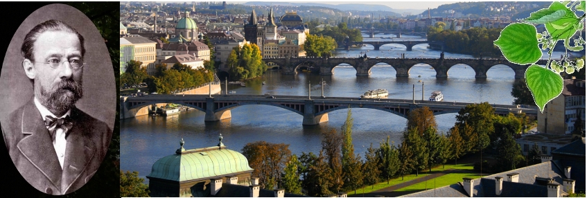 vltava.jpg